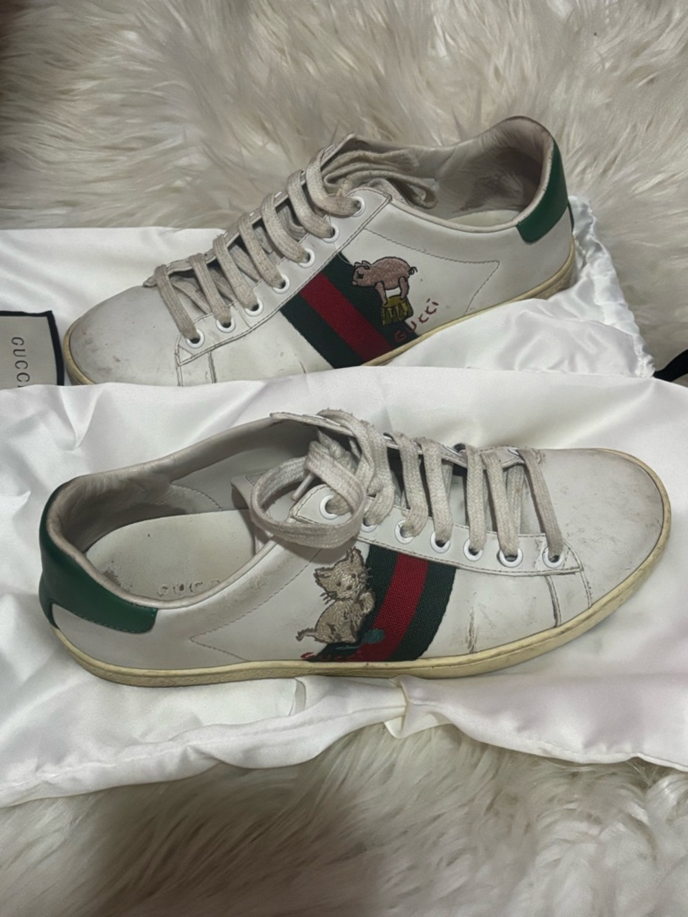 ♡ gucci kitten sneakers ♡ 7.5 , with box & dustbags